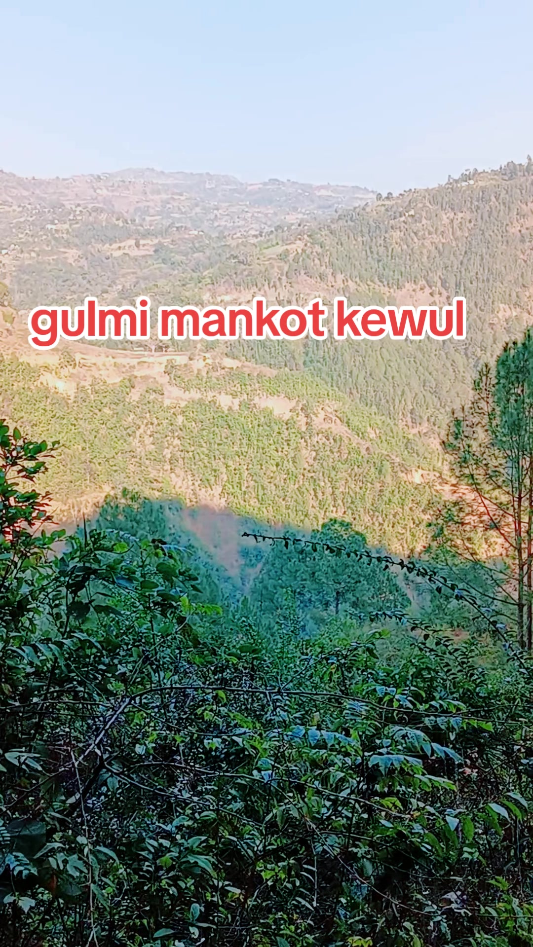 @विष्णु मानकोट