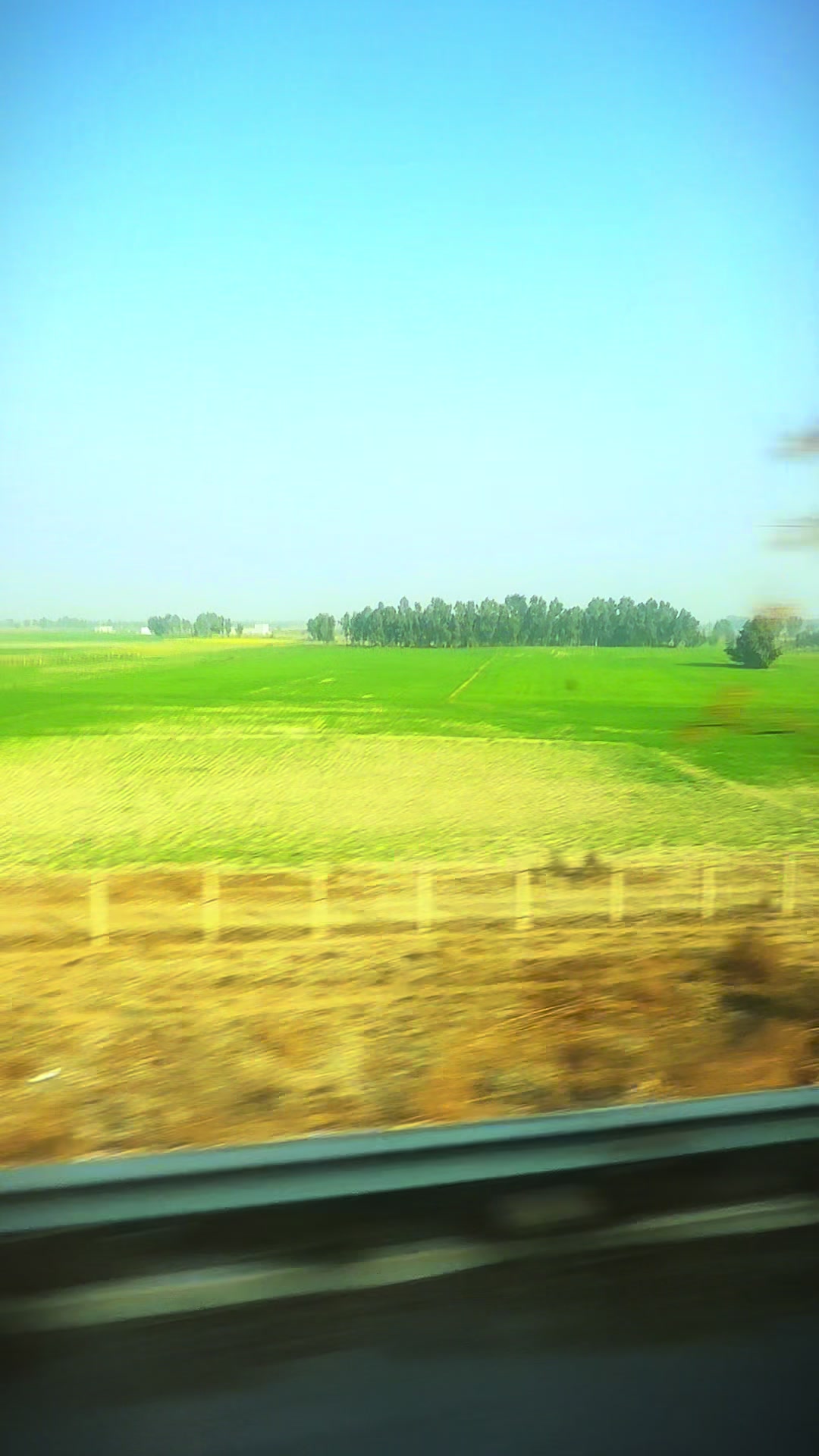 @wajo kazmi