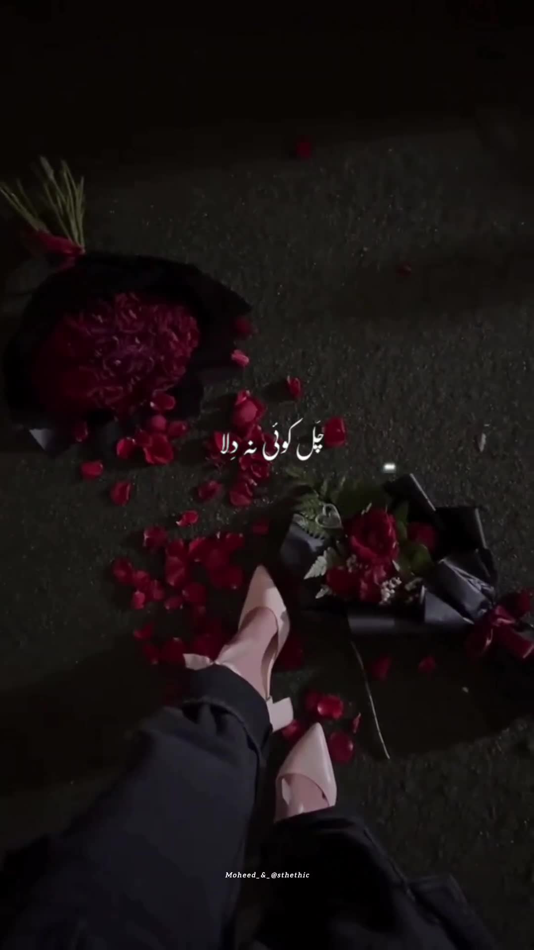 @Moheed astethic ๐๐๏ธ๐คญ
