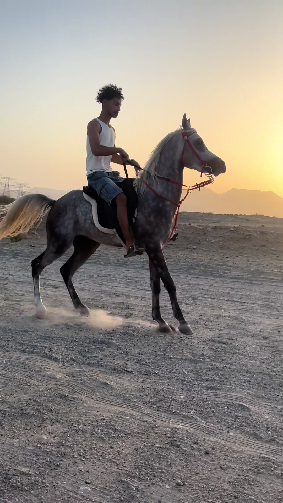 @فادي بن بندر 🎠