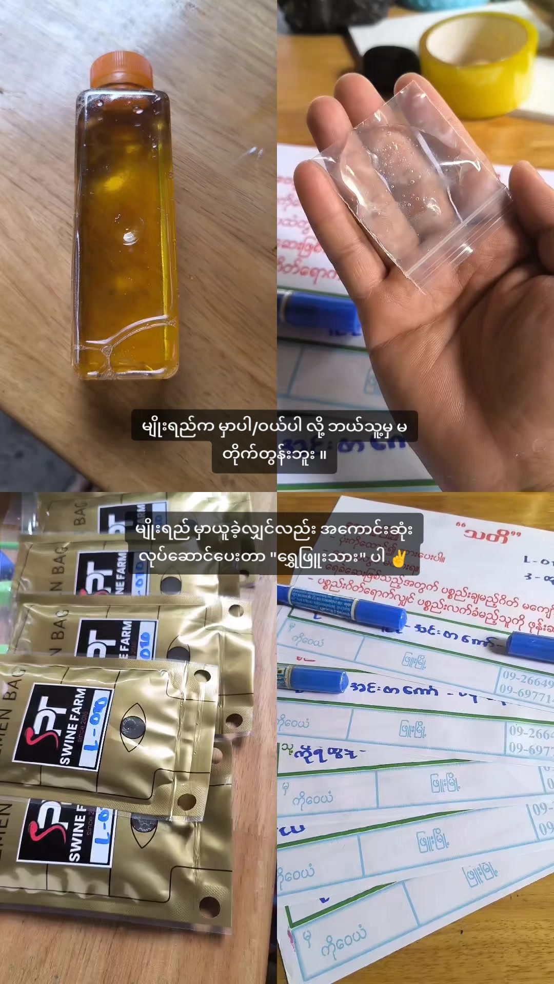 @"ရွှေဖြူးသား"၀က်မွေးမြူရေးခြံ