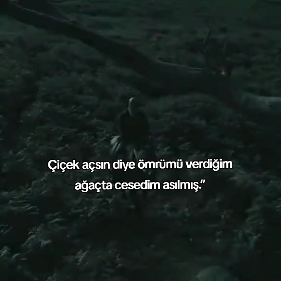 @kyplrdym