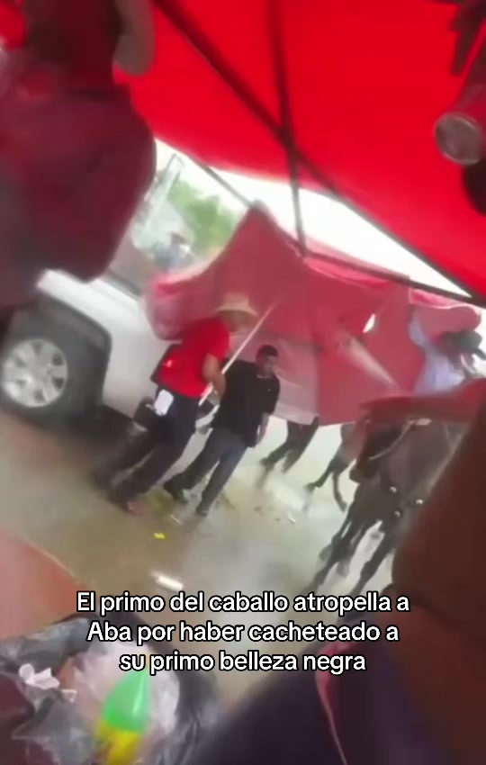 @Carolina Hernandez