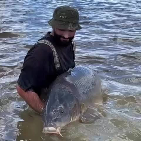 @carpworldonline