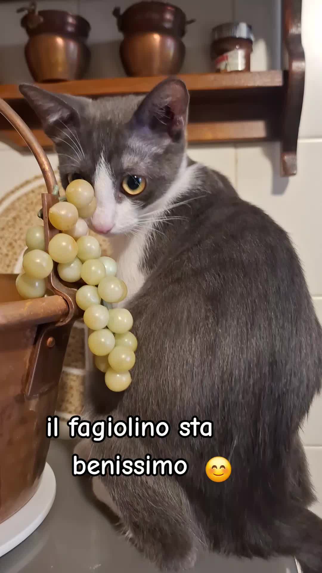 @marianna