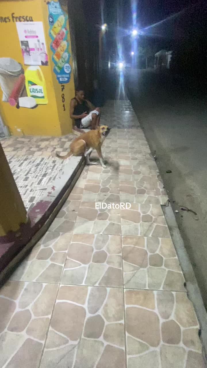 @ElDatoRD