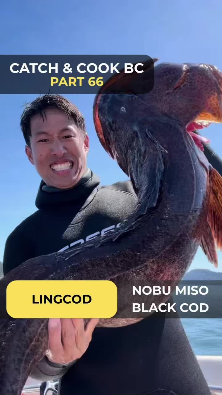 @JP