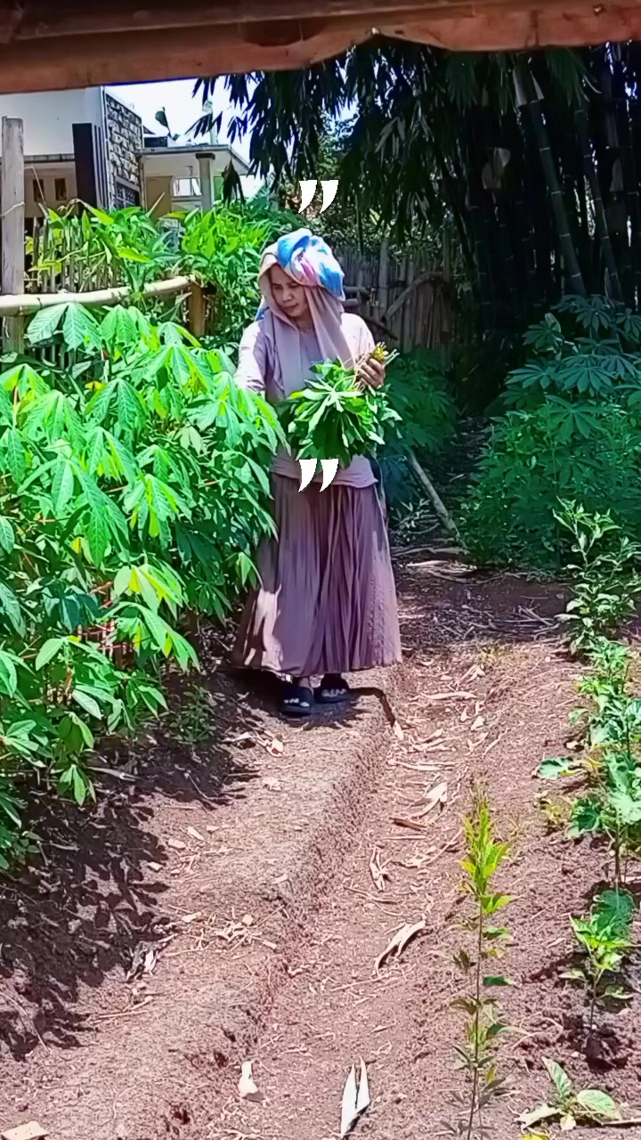 @hi