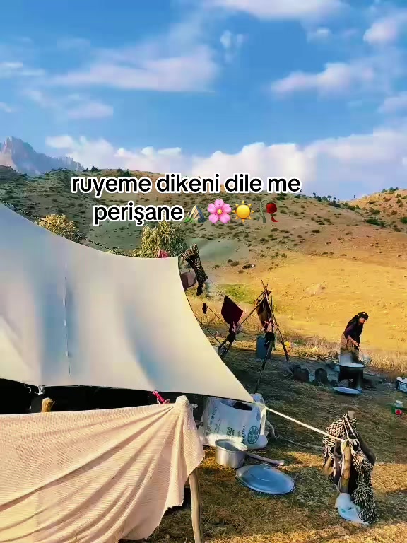 @ŞİYAR ✪