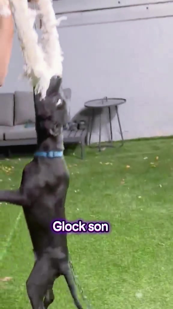 @Glock ADBA