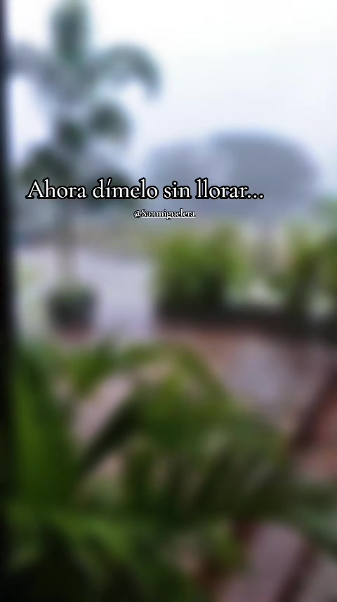 @Sanmiguelera