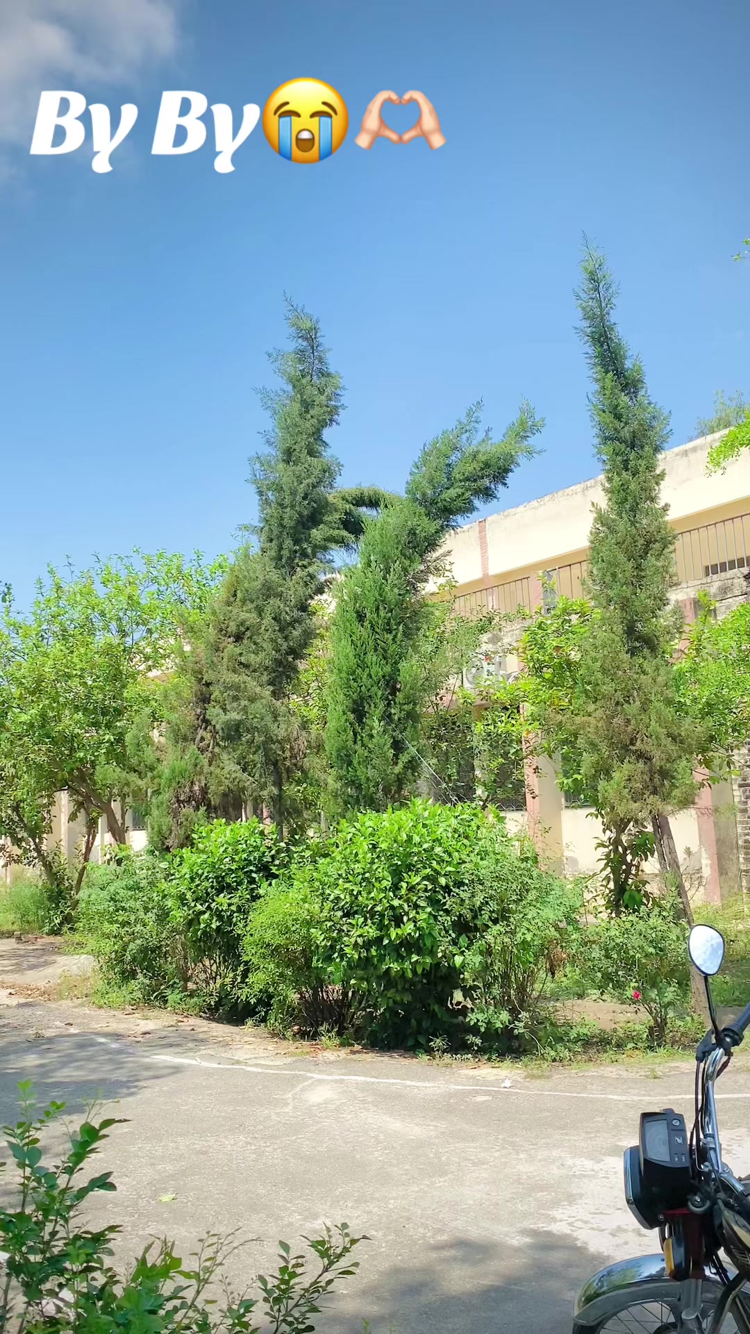 @Imran Ranjha