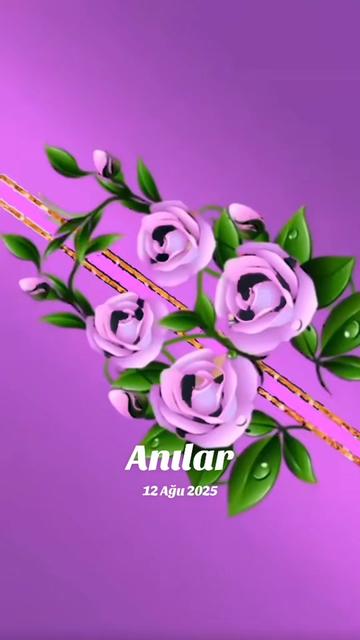 @nehir