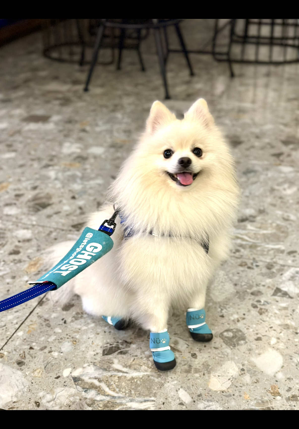 @G H O S T TheRunnerPom