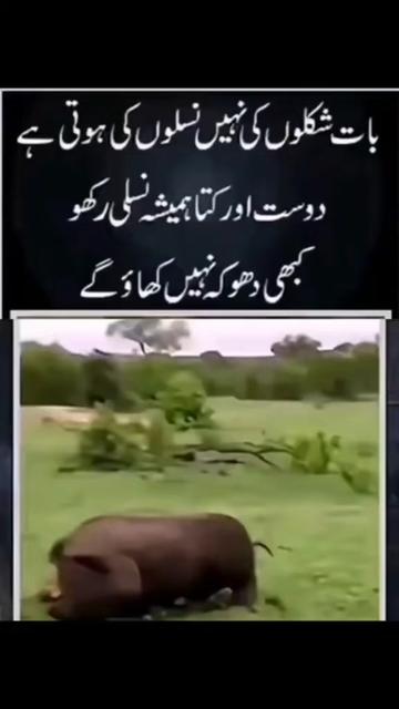 @I_AM_KHABI(خابی)