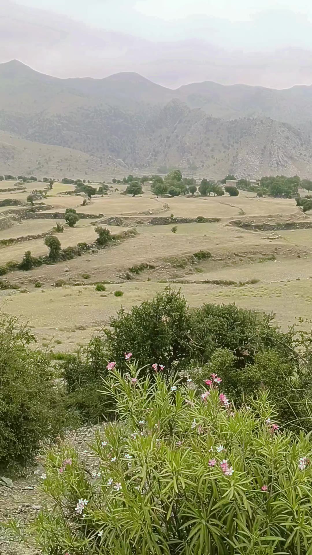 @khan aseel