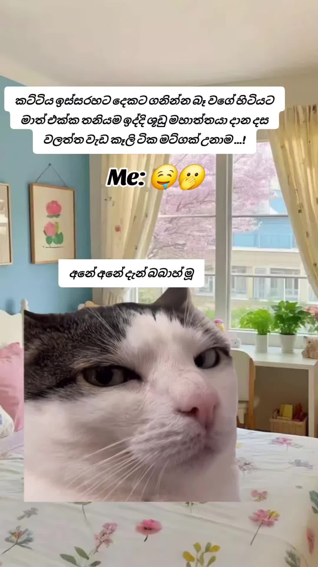 @꧁💓🌸 සිතු✾𝄟͜ 🌸💓 සිතු✾𝄟͜ ꧂