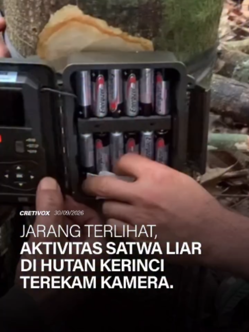 @Wahyu Santosa Official