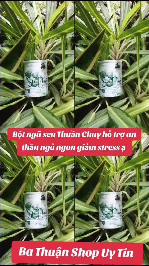 @Ba Thuận Shop Uy Tín