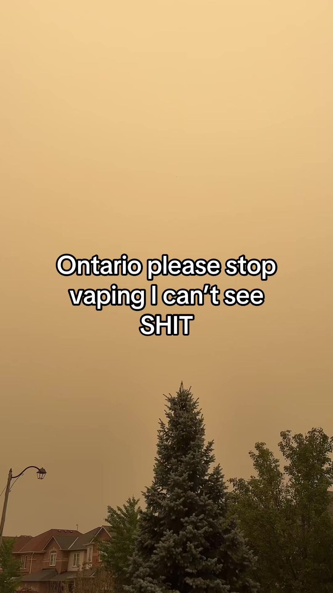 @Shahad