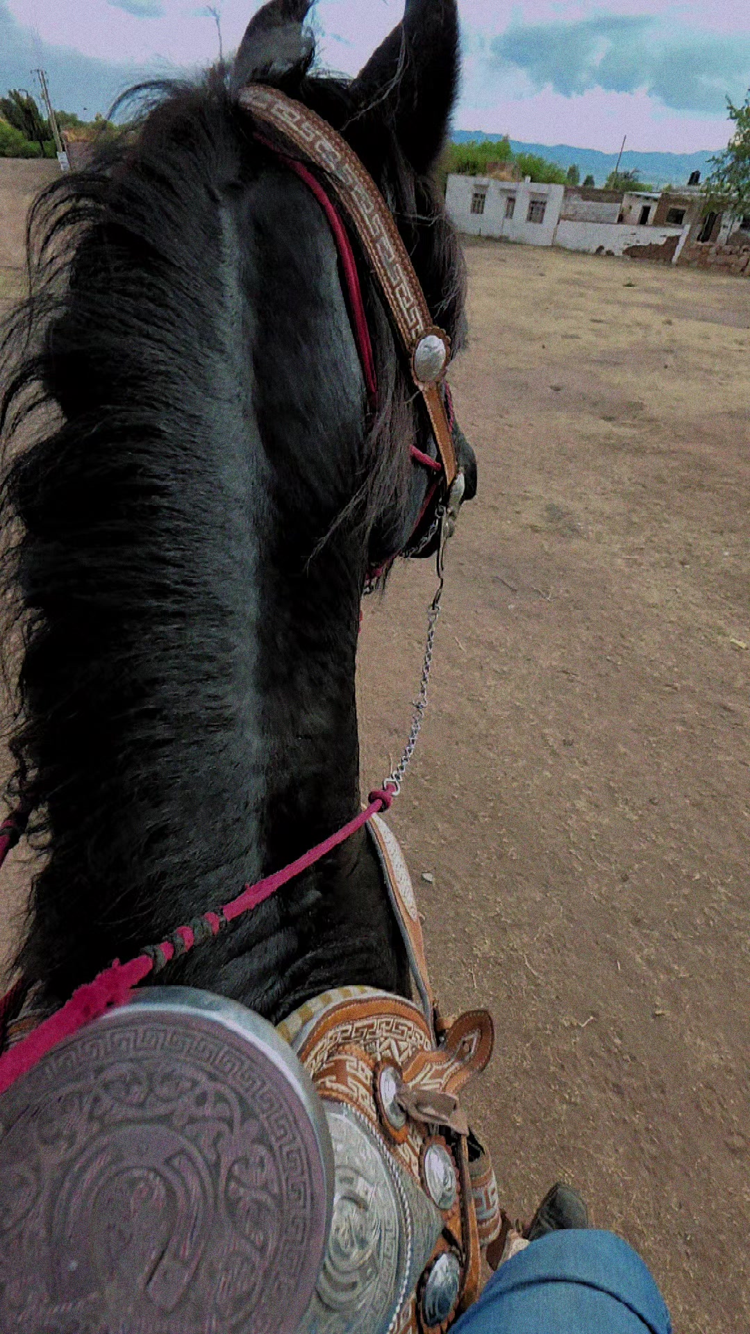 @AlejoRodriguez🎙🐎❤️