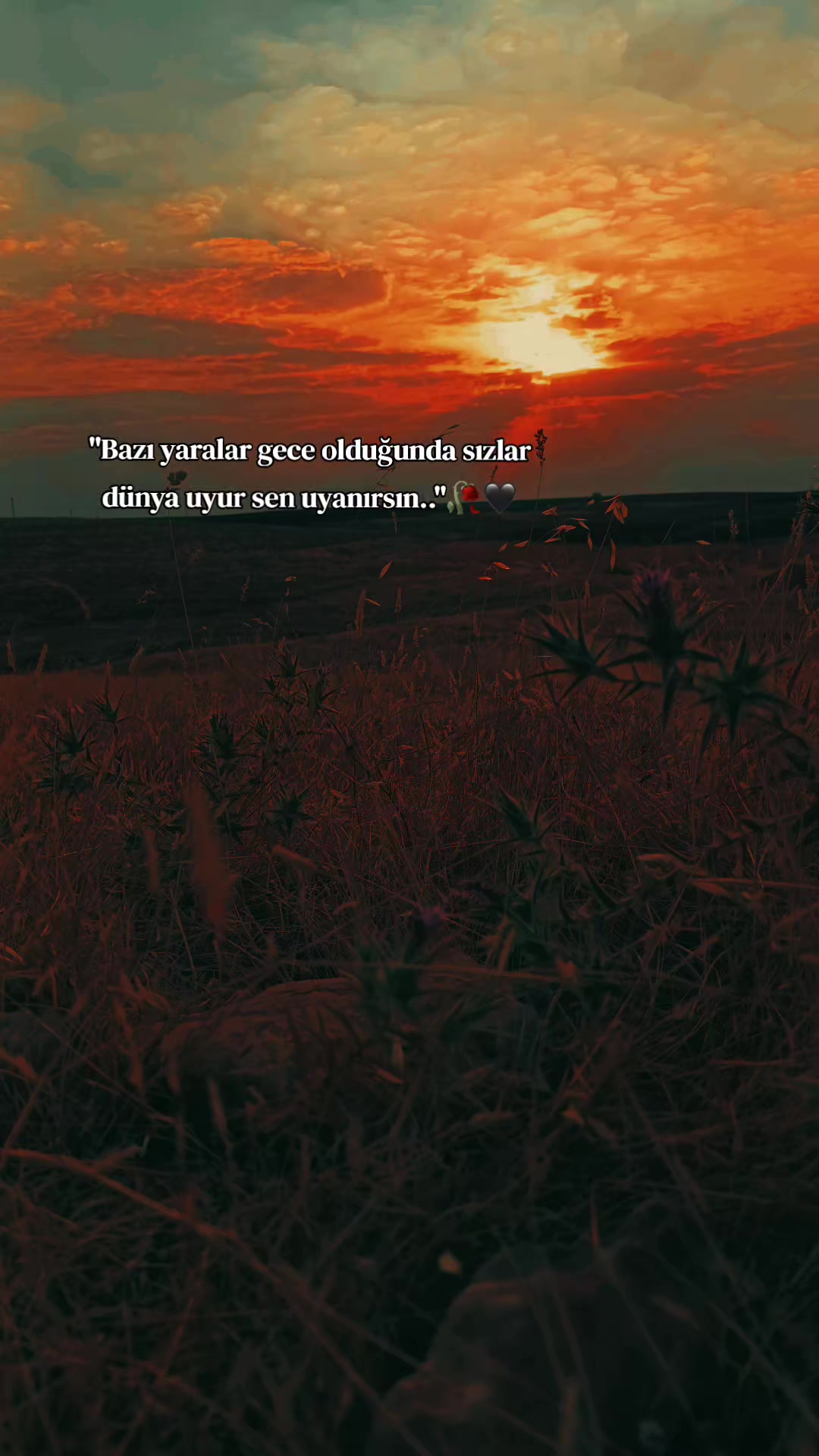 @𝐒 𝐓 𝐄 𝐑 𝐊 ✷
