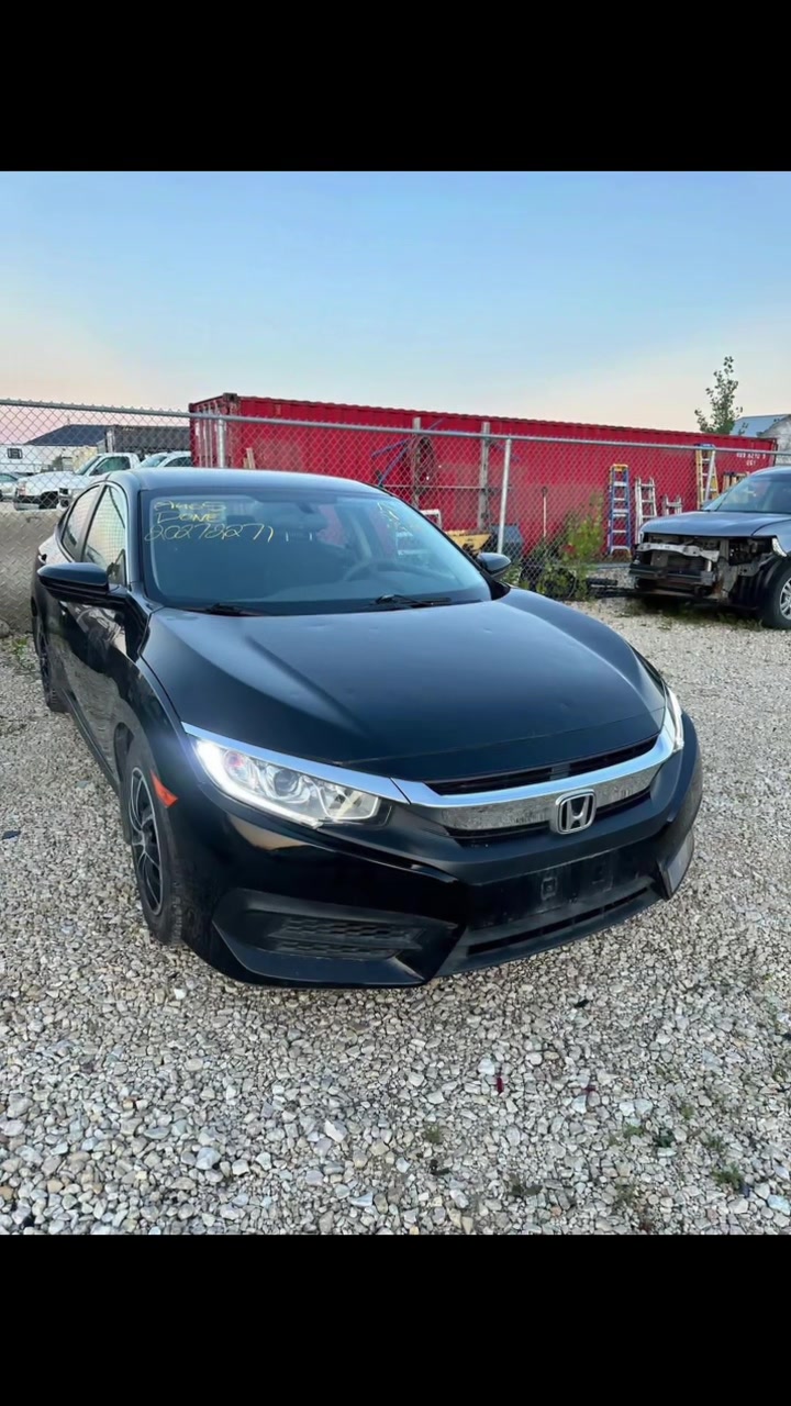 @Emma Honda