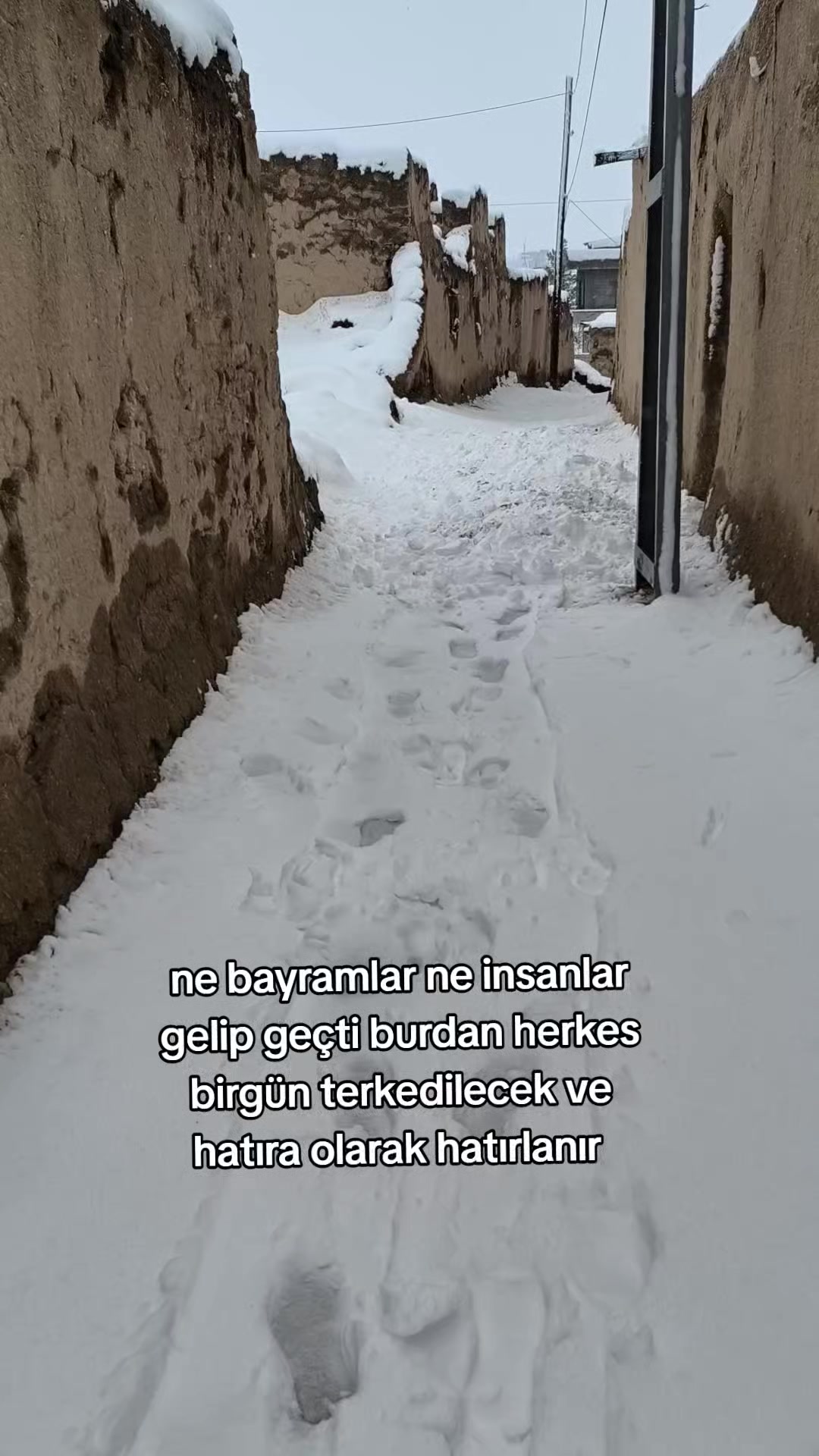 @Serdar