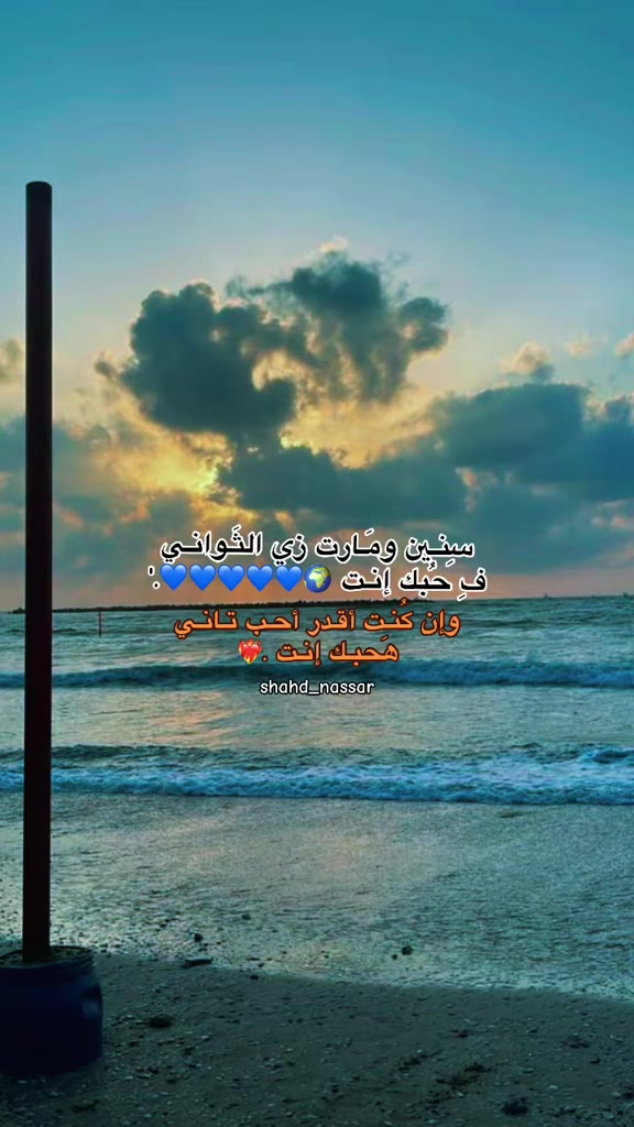 @shahd nassar