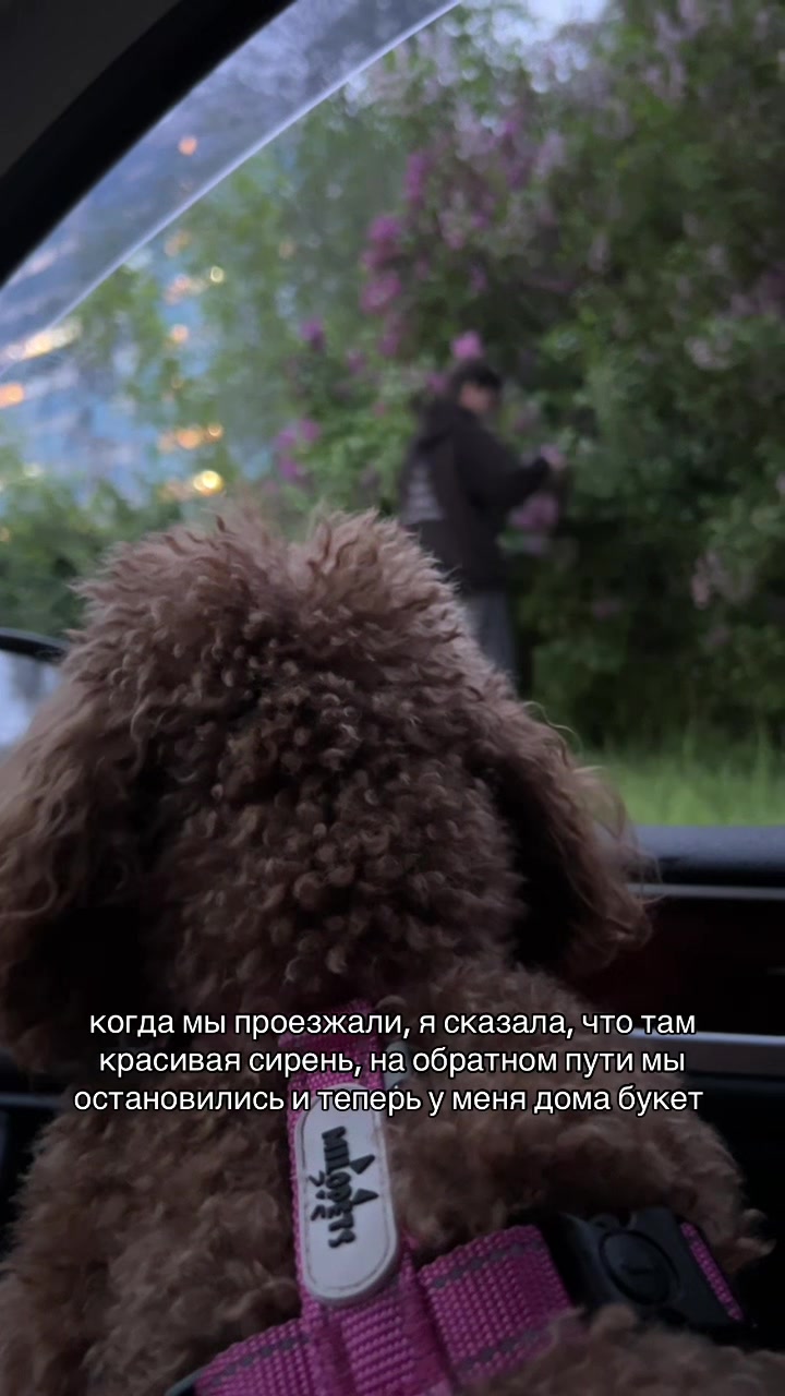 @пунечка