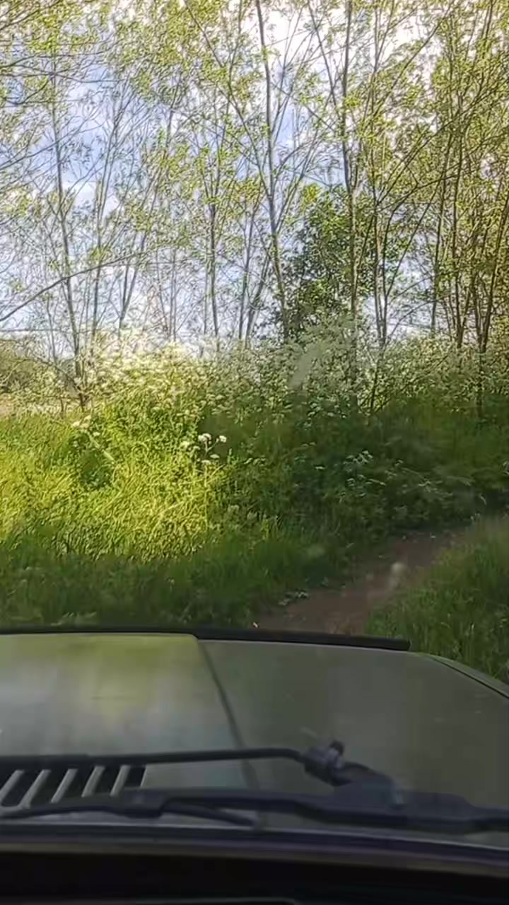 @Леся Нестерук