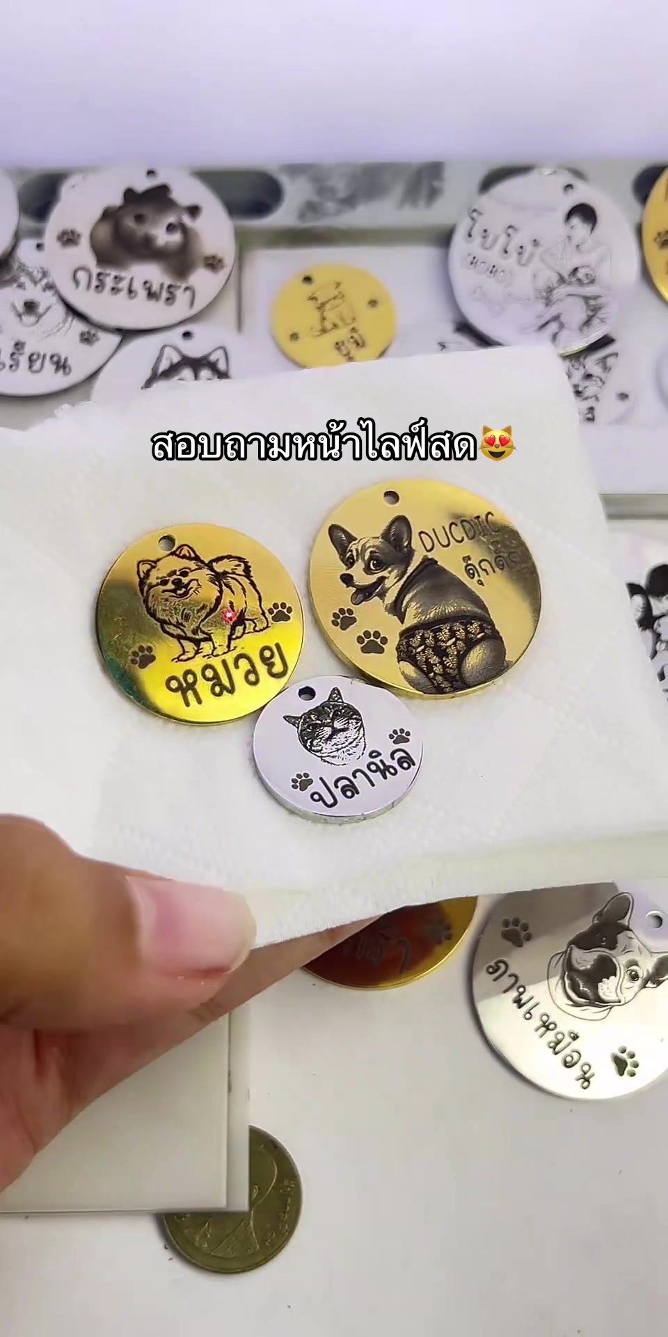 @DIYอุปกรณ์สัตว์เลี้ยง