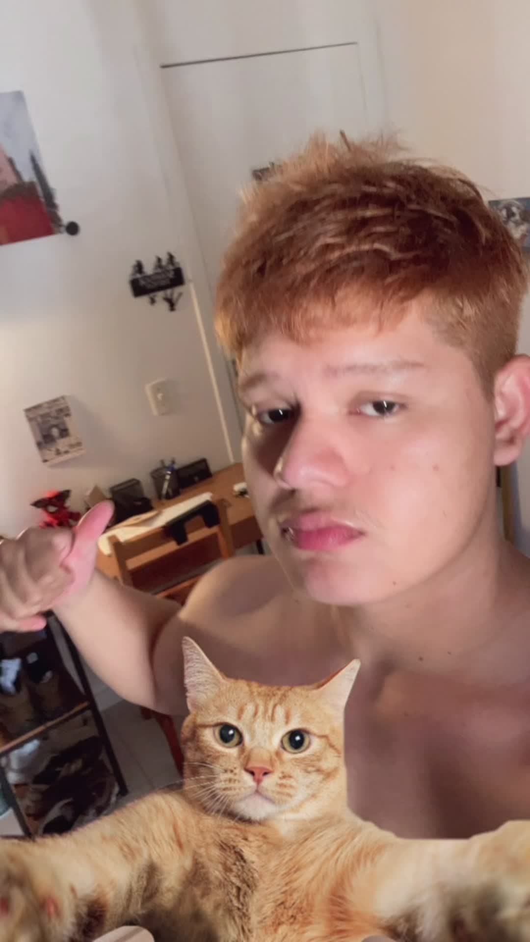 @Harryzinho finkler