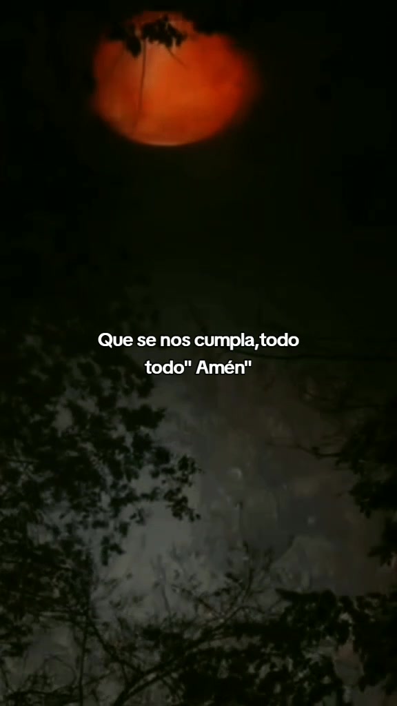 @frases para dedicar ❤