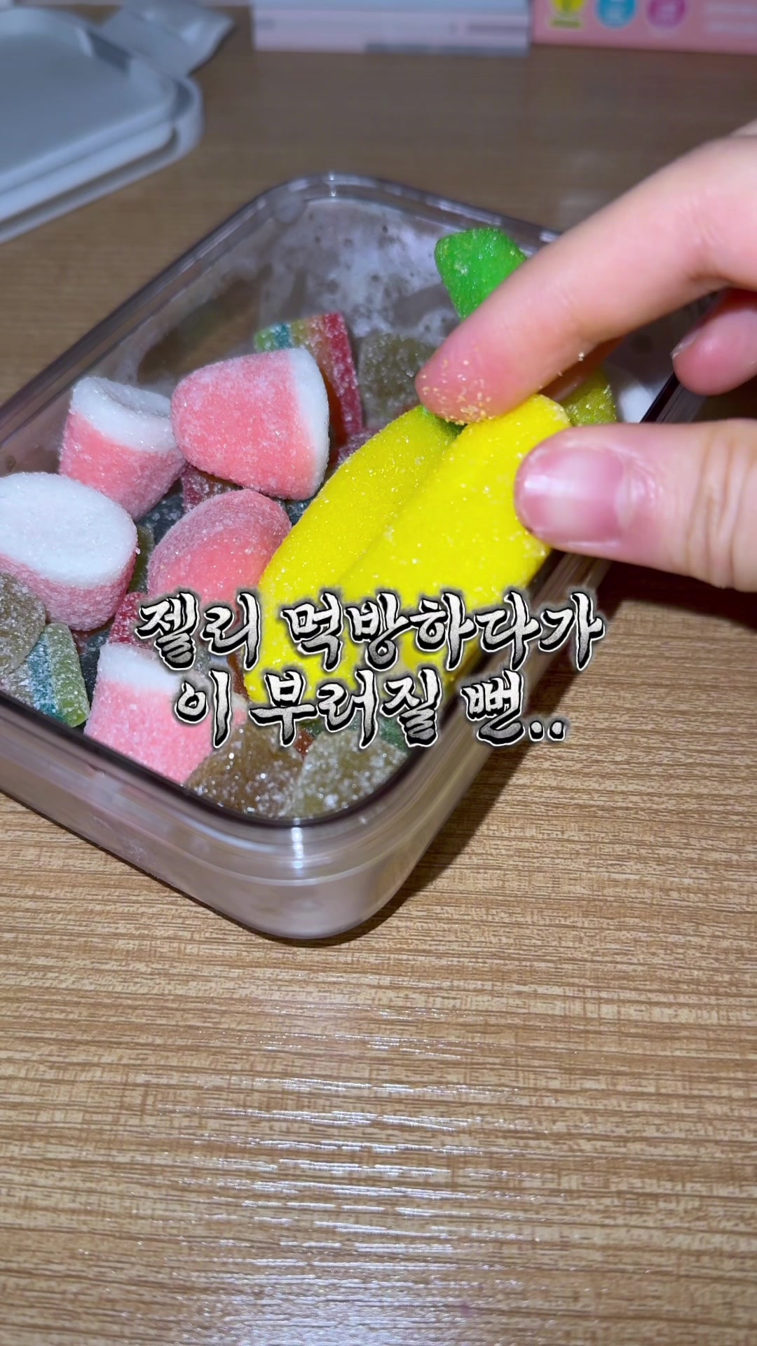 @미코의 세상