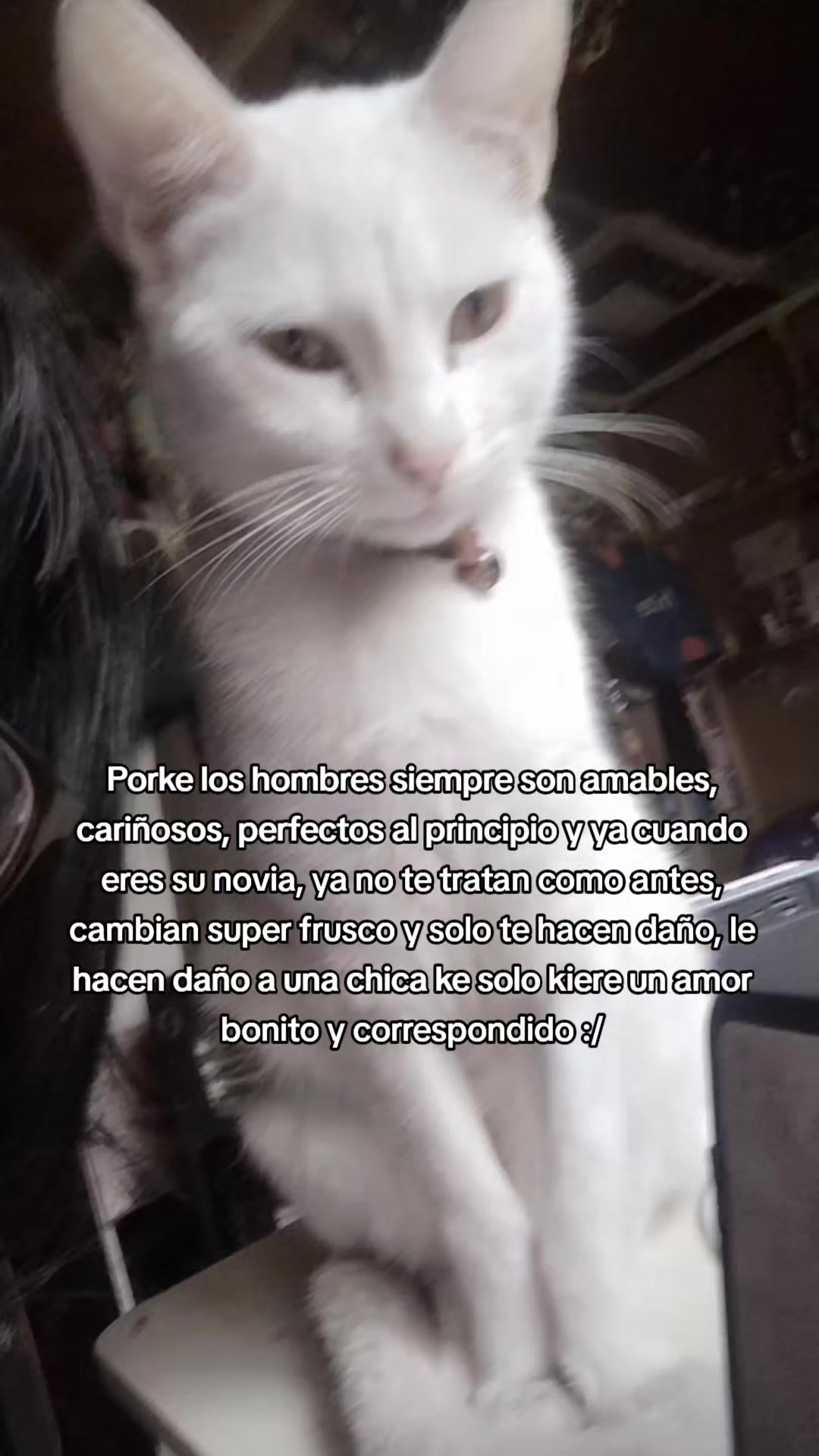 @.ೃ࿔*𝓘𝓼𝓲𝓭𝓸𝓻𝓪 .ೃ࿔*