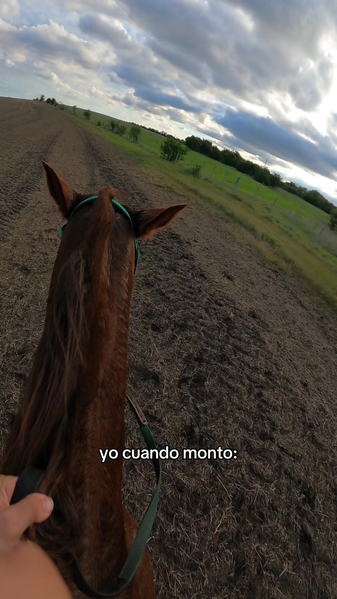 @alfo mtnez