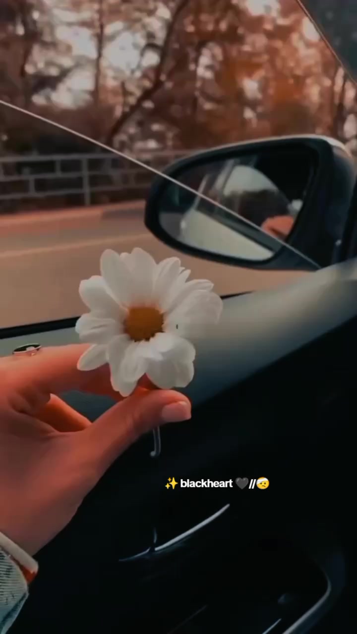 @black heart 🖤