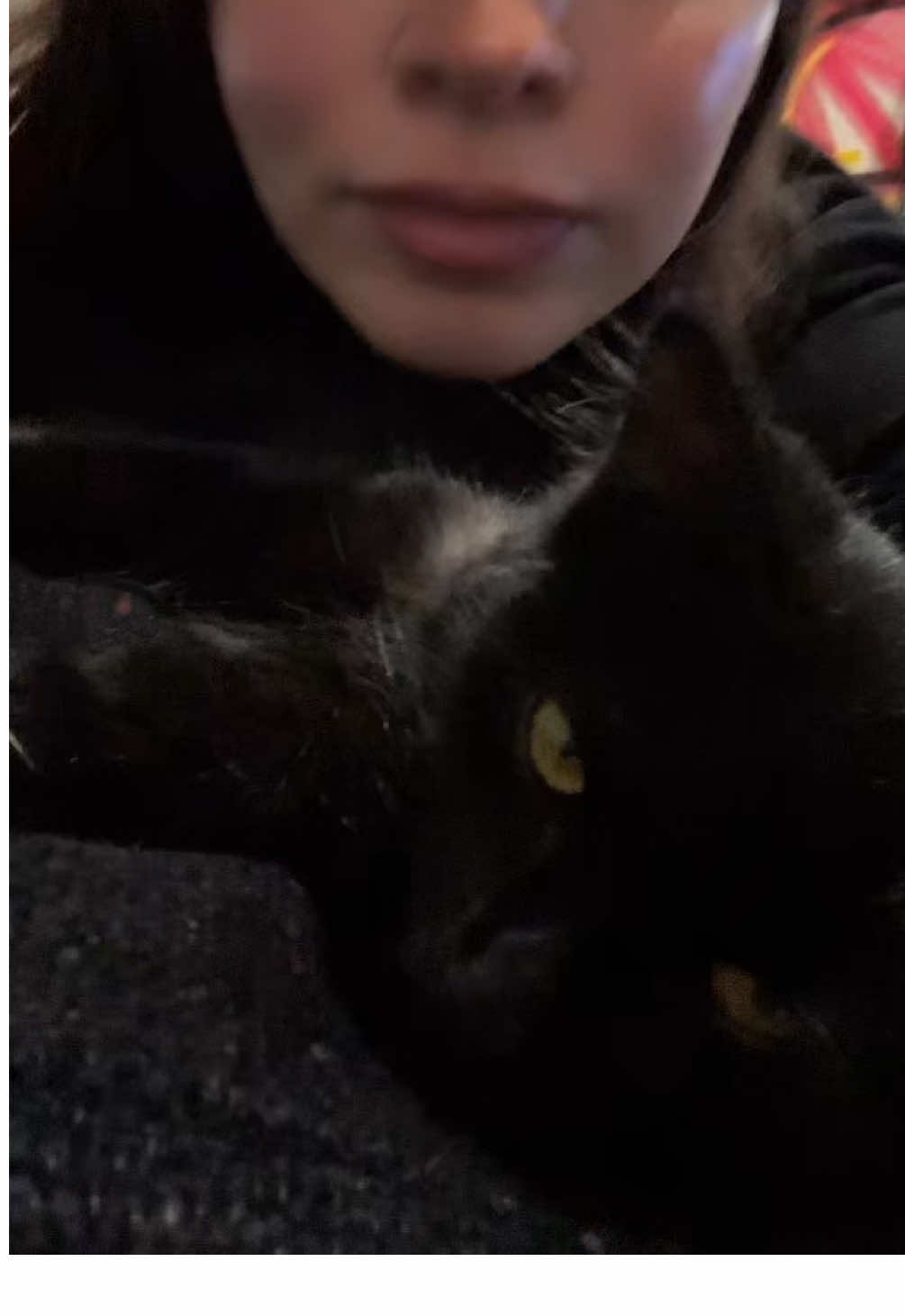 @Dee ₊˚⊹♡