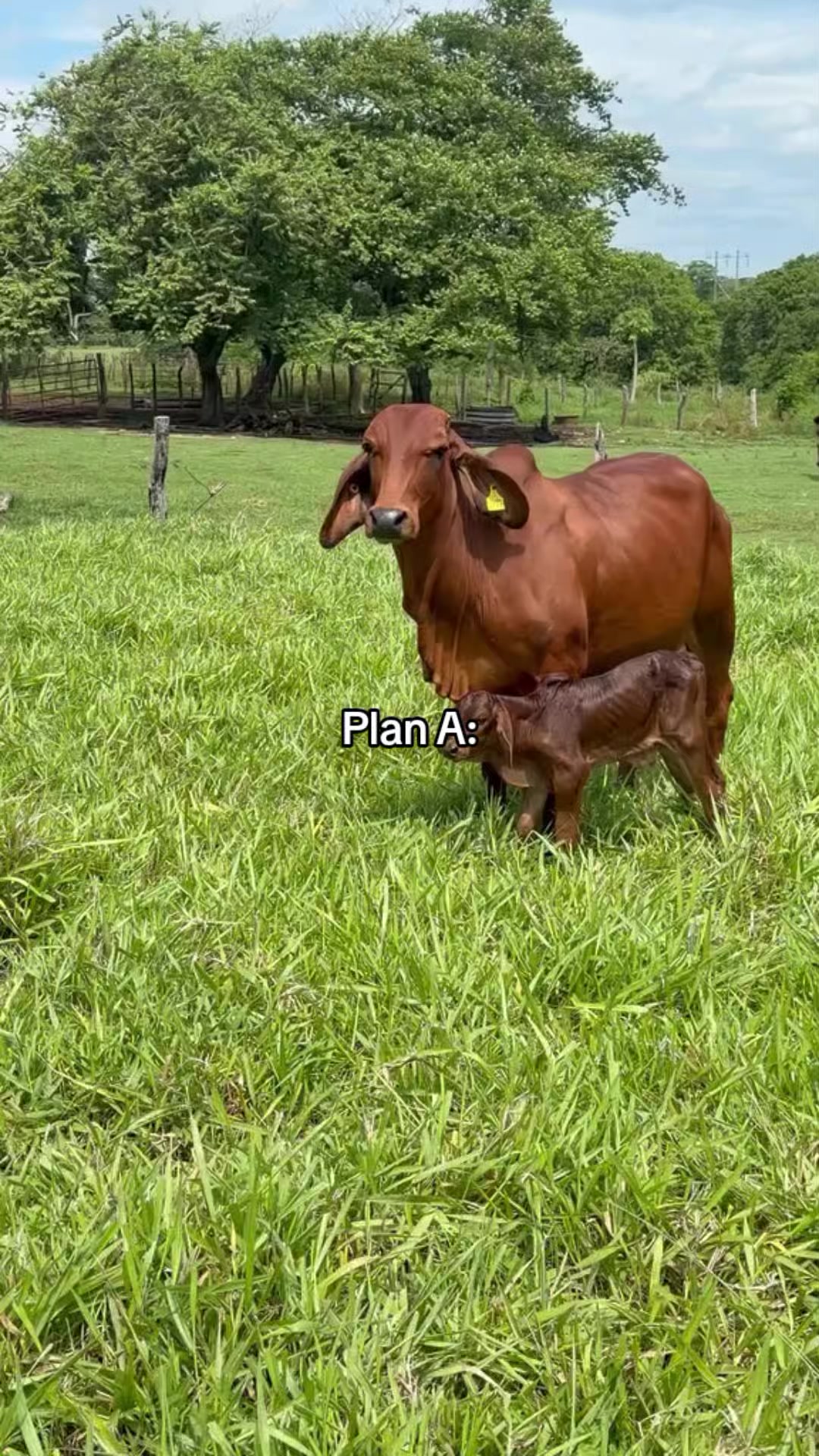 @Robin๐๐๐ค ๐ค ๐๐๐ฌ๐น๐ฌ๐น