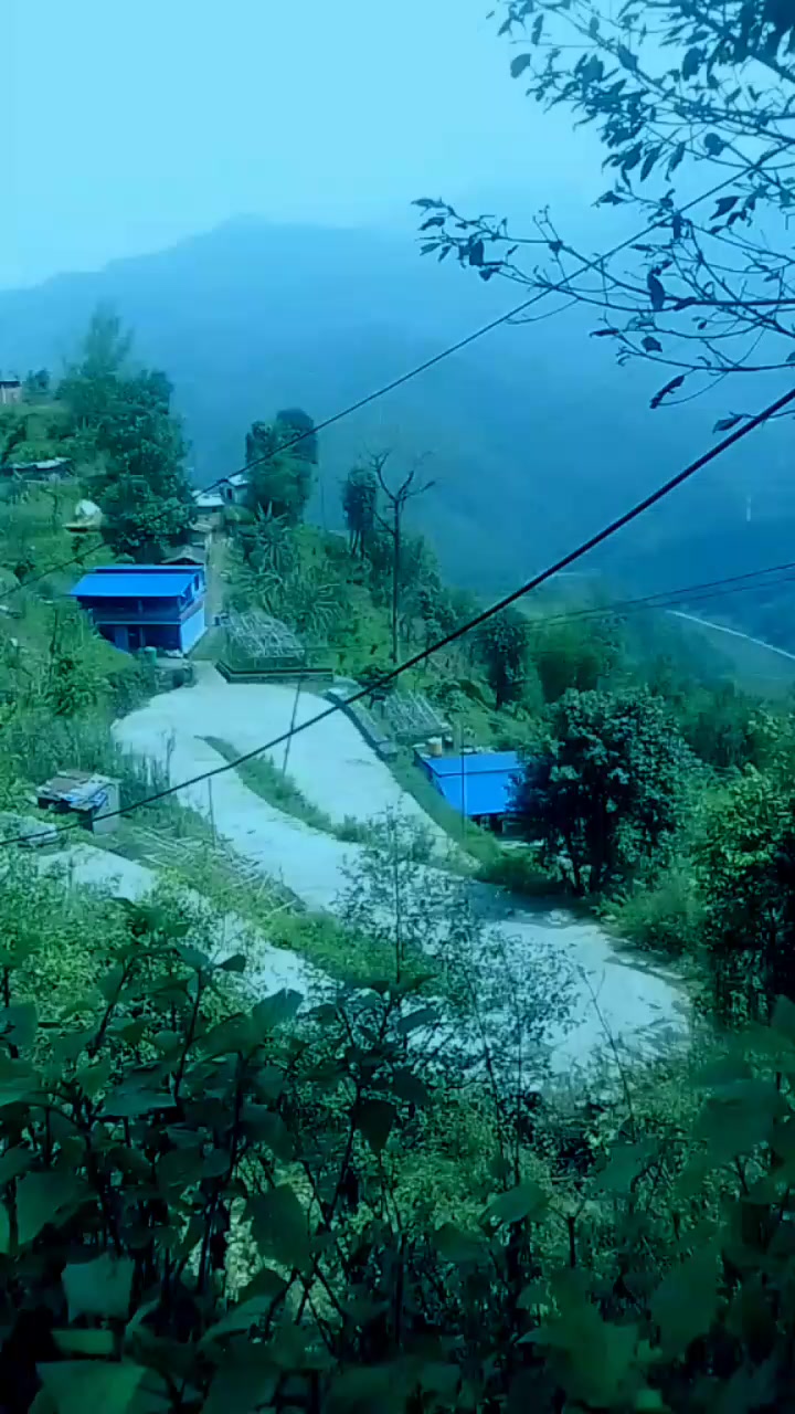 @shivani 123