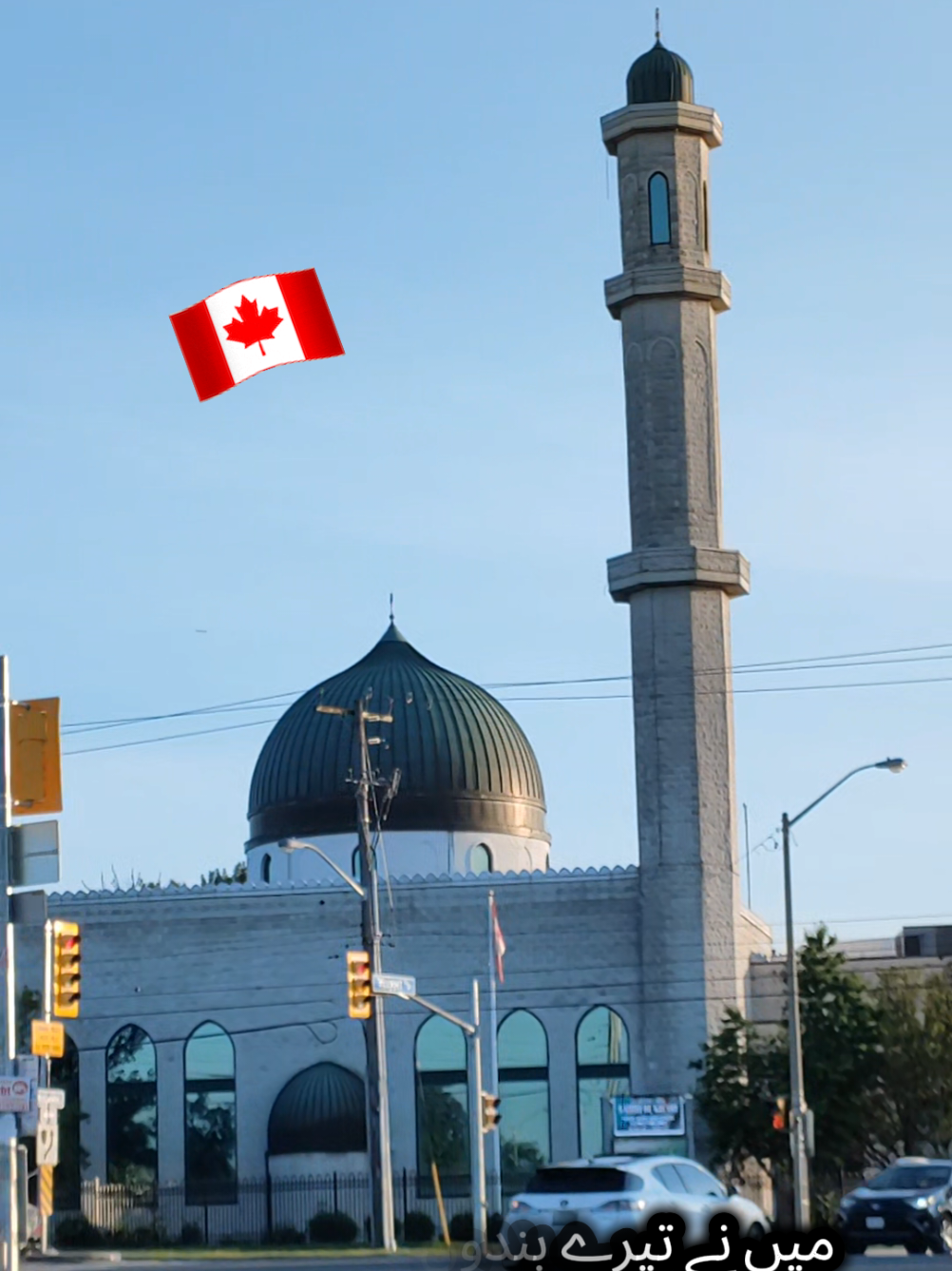 @Sher khan🇨🇦🥀