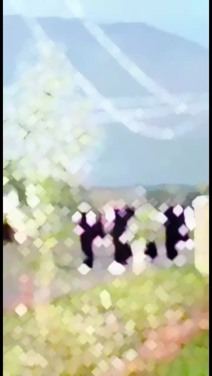 @دیوبند دیوبند