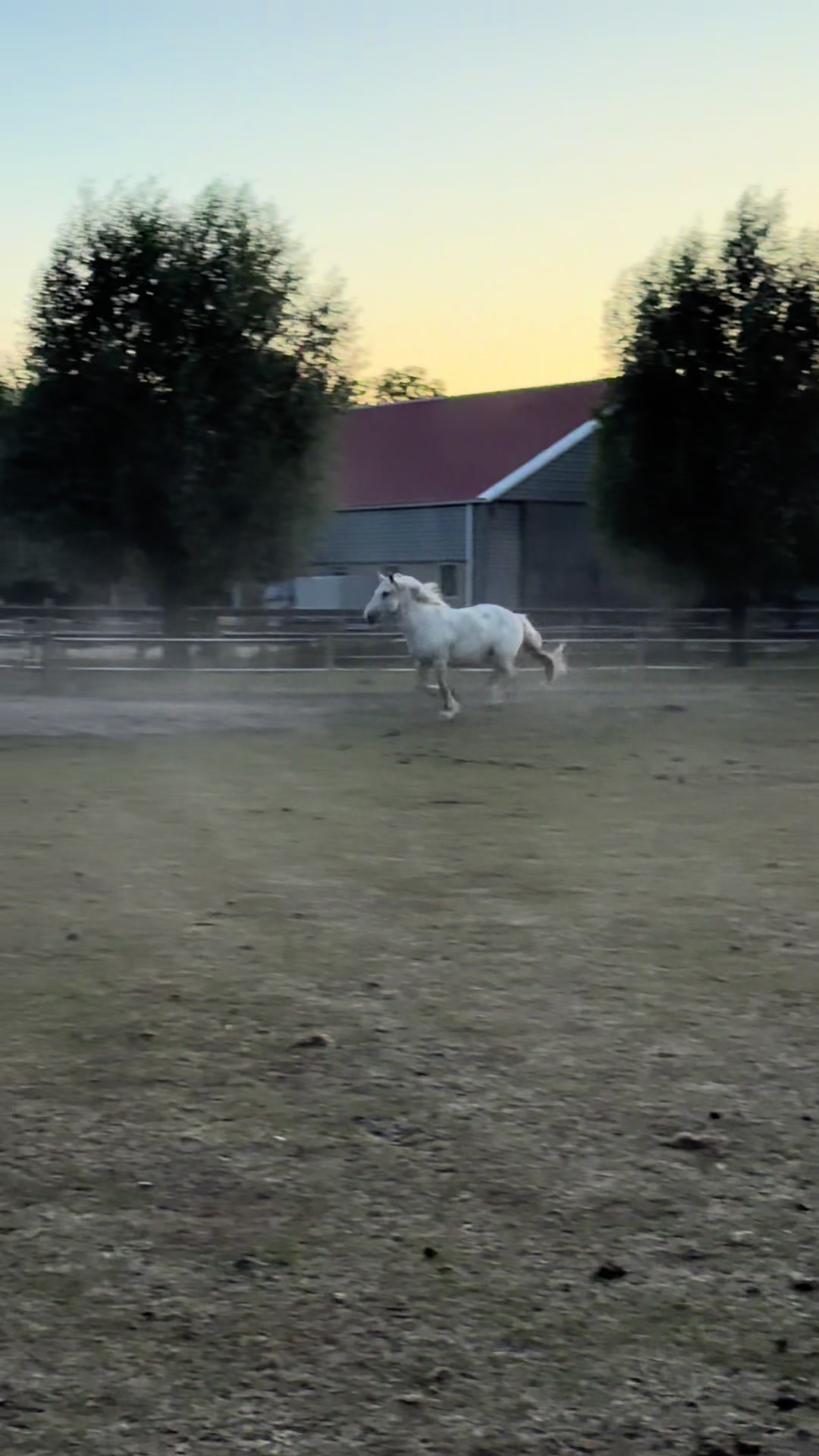 @Manege Duno