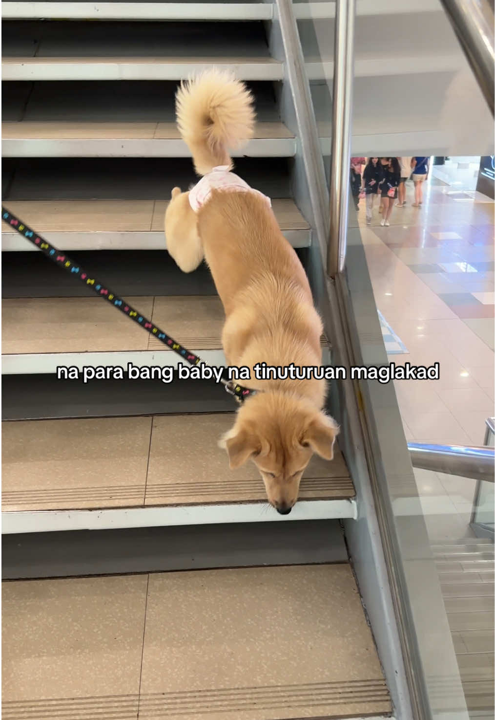@BEL