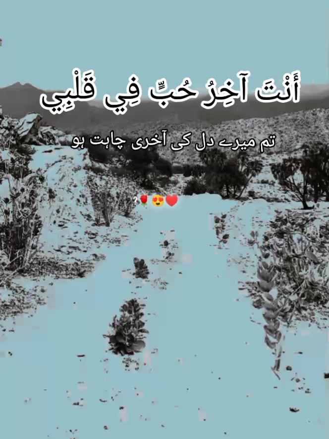 @گمنام دل❤️🩹