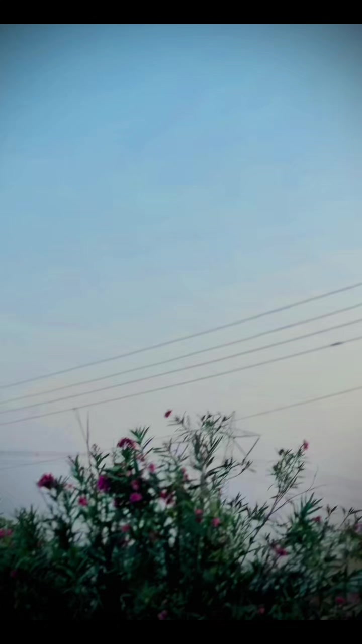 @J A S I M . . . . A H M A D 🩺