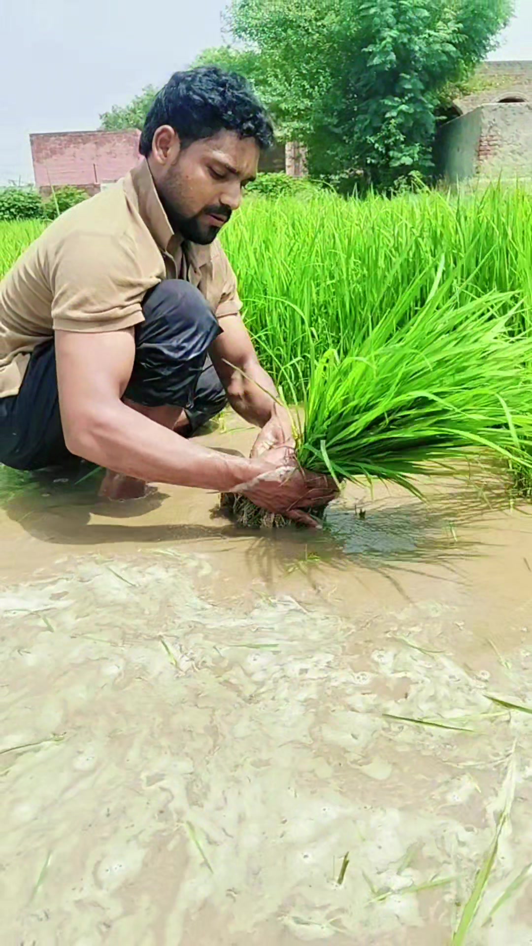 @Mr Chandu Bhai 🦅🤞🦁