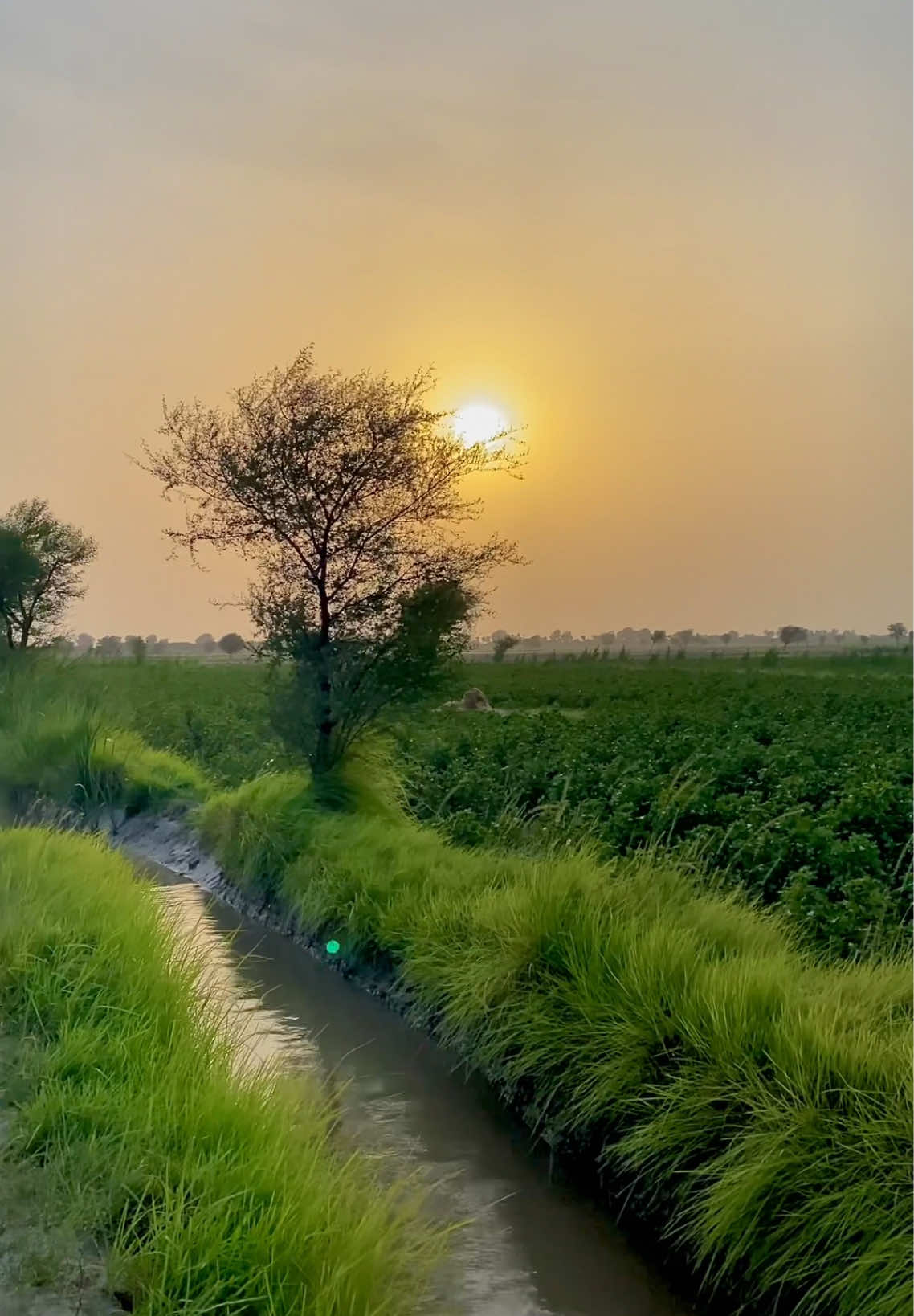 @Iftikhar_Wassan 𓆩♡𓆪🧸