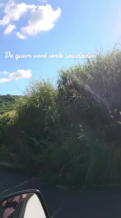 @mariaantonia4563